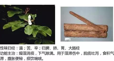 43ee6e09ace9488e9aa9d815fce0568e.JPG