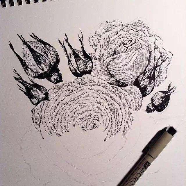 立体起来 /// 植物素描系列 细腻的笔触 主要运用点线面的结合 将花卉