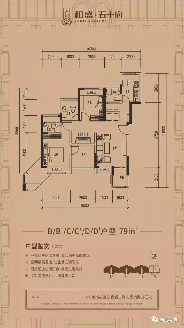 网帝岗人口_人口普查(3)