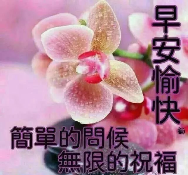 十一月早上好问候语阳光句子 早上好祝福图片表情