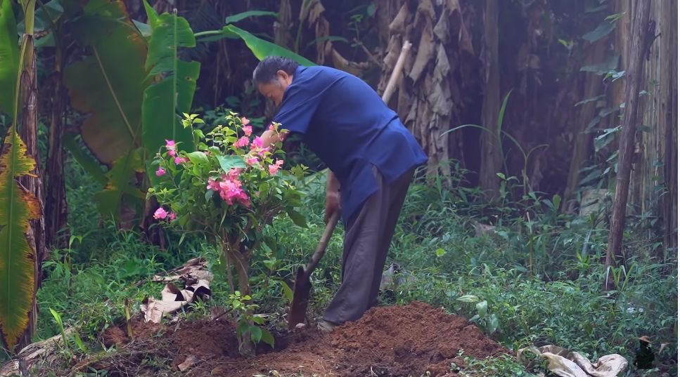 中国大爷油管500万点赞,老外惊呆:这是什么Ch