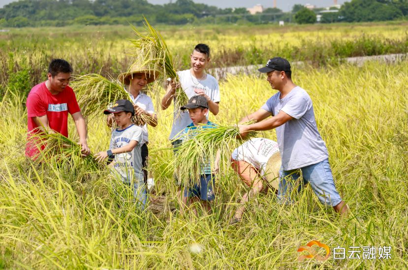 来挑战拍出最美乡村照万元大奖你拿走