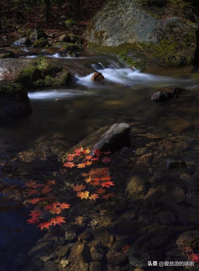 9ff185b1db494df28533ba75f481c452.jpeg