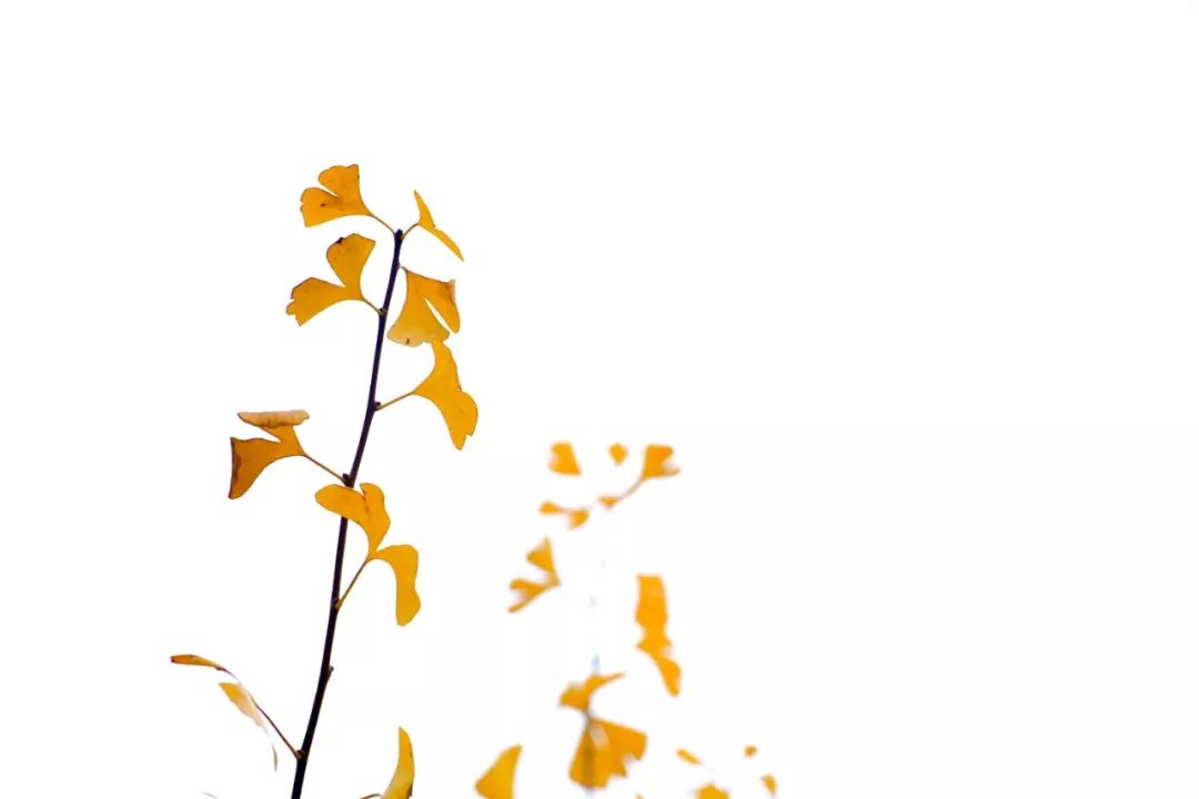 a432edcc28c247ba87433649300b3f23.jpeg