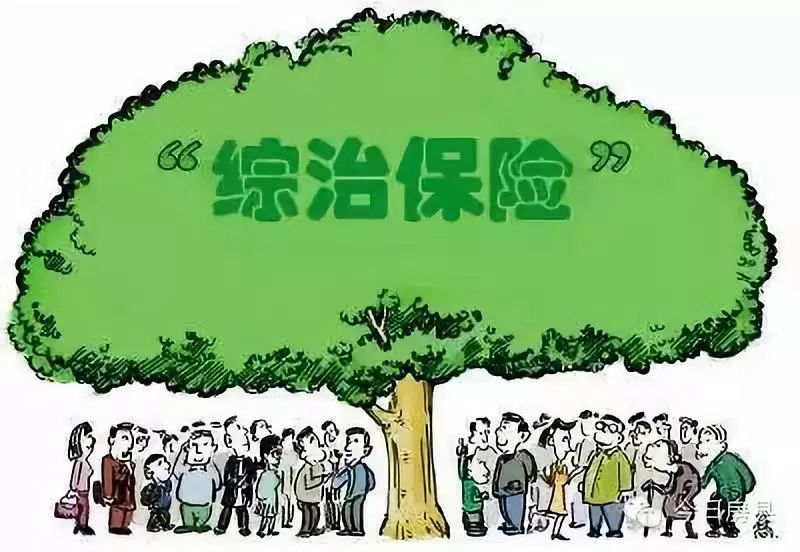 周宁人口_宁德常住人口最新数据出炉,看看大周宁有多少人(3)