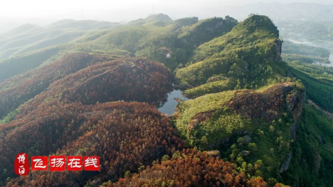 博白沙河人口_博白空心菜图片