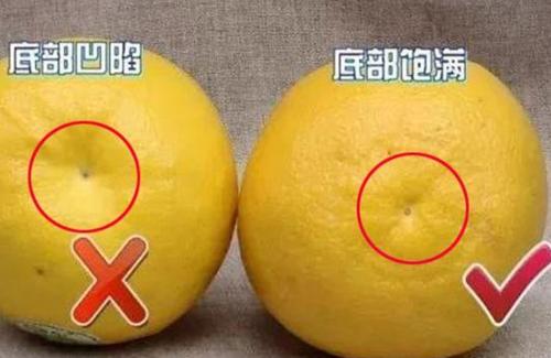 b7cabf50a2c34921b79e8b62a77c6091.jpeg