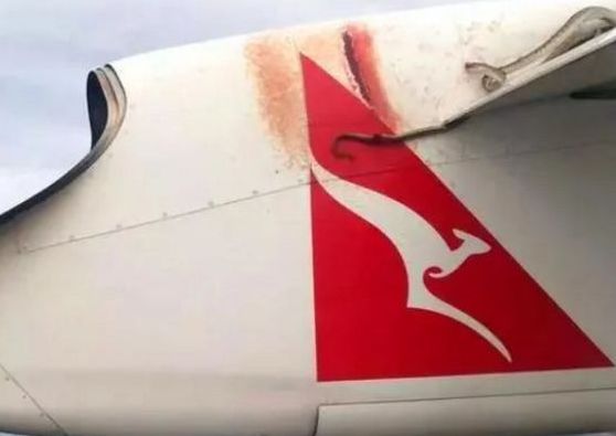 纸飞机飞一百米高 b9071c44f6e74523a6548b2d8a88f827.jpeg