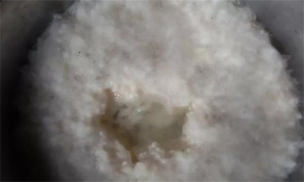 什么叫毛霉菌 c9458af697424a6f850b95b111fb6ba2.jpeg