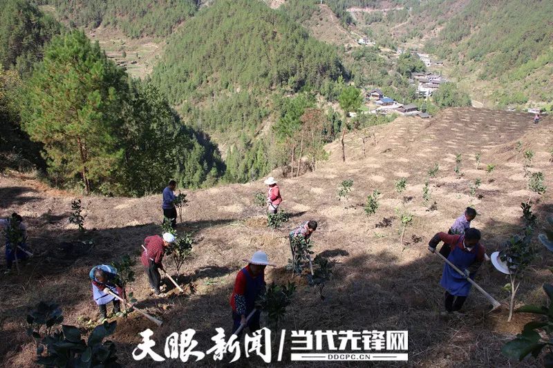 印江有多少人口_贵州印江四大美女(3)
