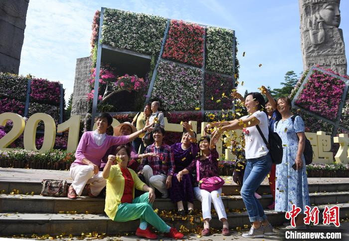 19广州簕杜鹃花展美丽绽放大批市民赏花 打卡 造型