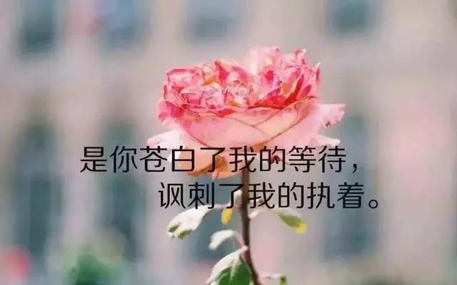 dd3913b941ed4c22a49d2f8d27a489f1.jpeg