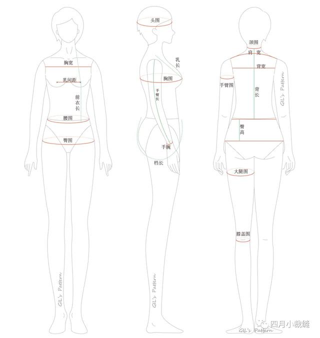 内衣尺寸量法_量内衣尺寸示意图(3)