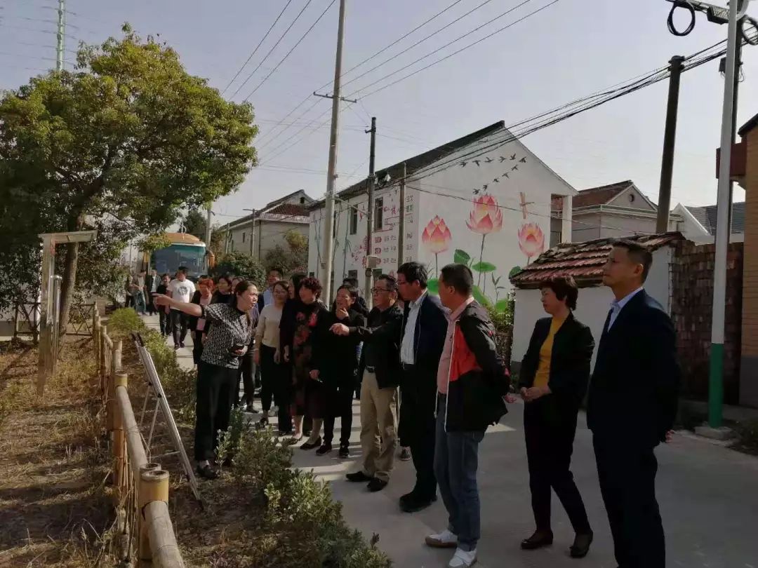 港沿镇召开迎花博治五棚专项行动现场会