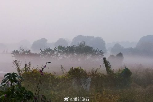 f13a9dcf43884c39b98429b80d633985.jpeg