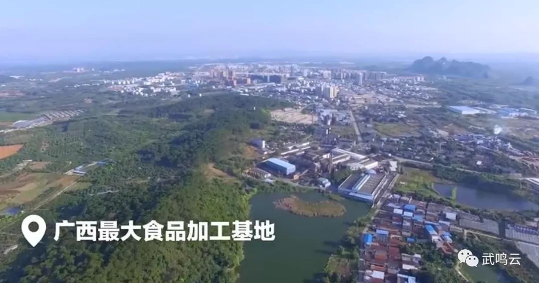 里建国家级东盟经开区打造广西农业硅谷武鸣云