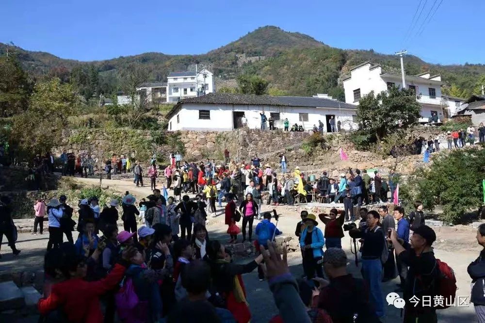 11月2日,首届黄山新明香榧文化旅游节在新明乡樵山村举行.