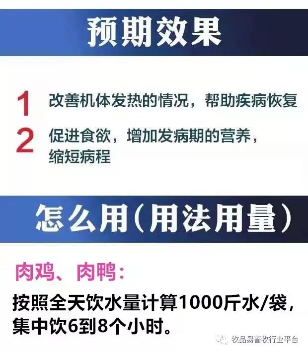 畜牧招聘信息_五六养鸡网(2)