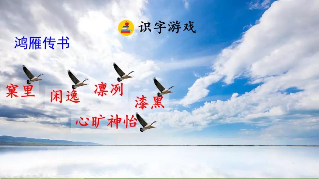 17da530e5e974cac80cf75a76a0586c7.JPG