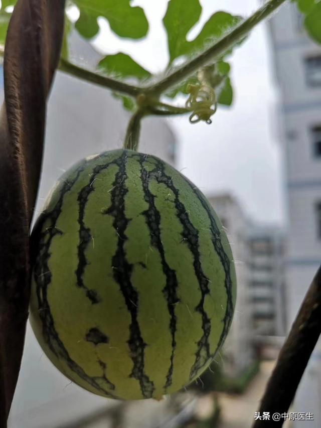 38c59a41b92341f1997a2a05d5f2598e.jpeg
