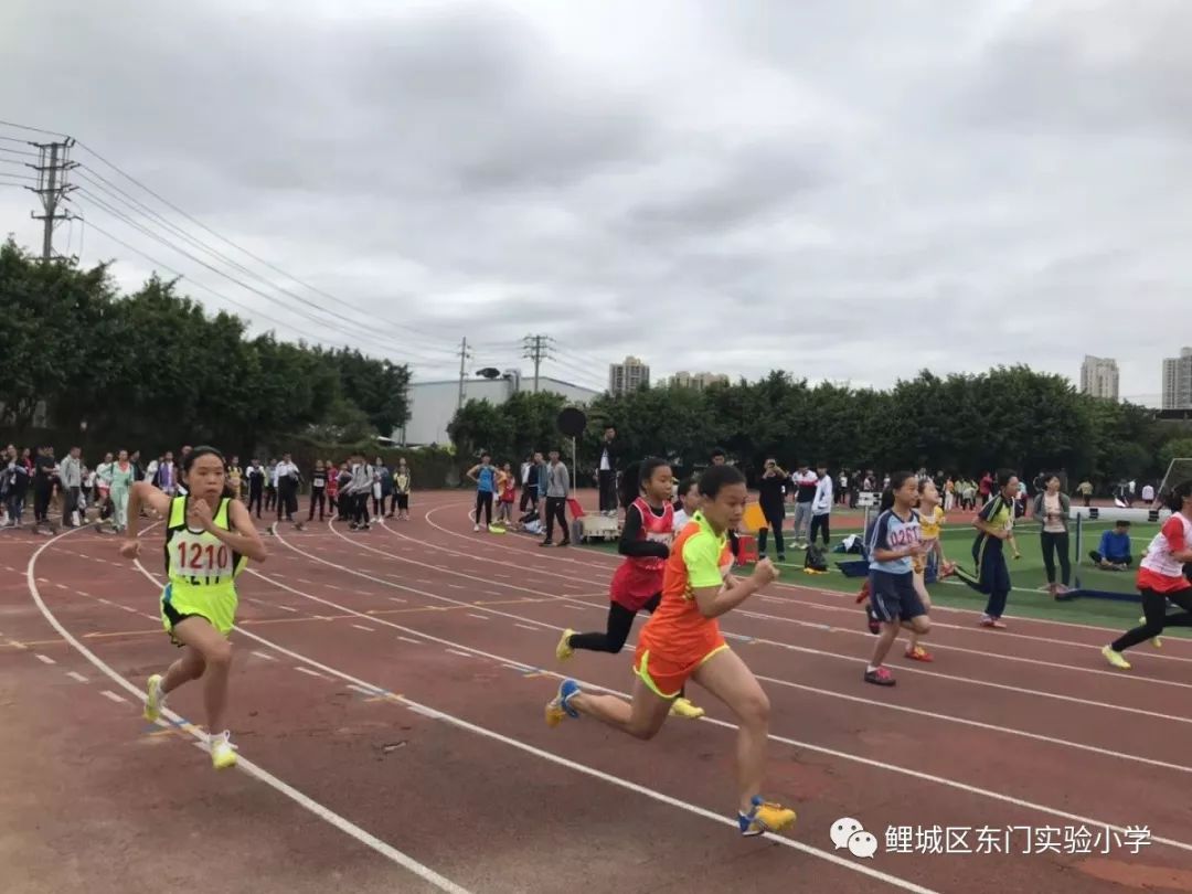 喜讯鲤城区东门实验小学荣获2019年鲤城市区田径运动会小学组团体总分