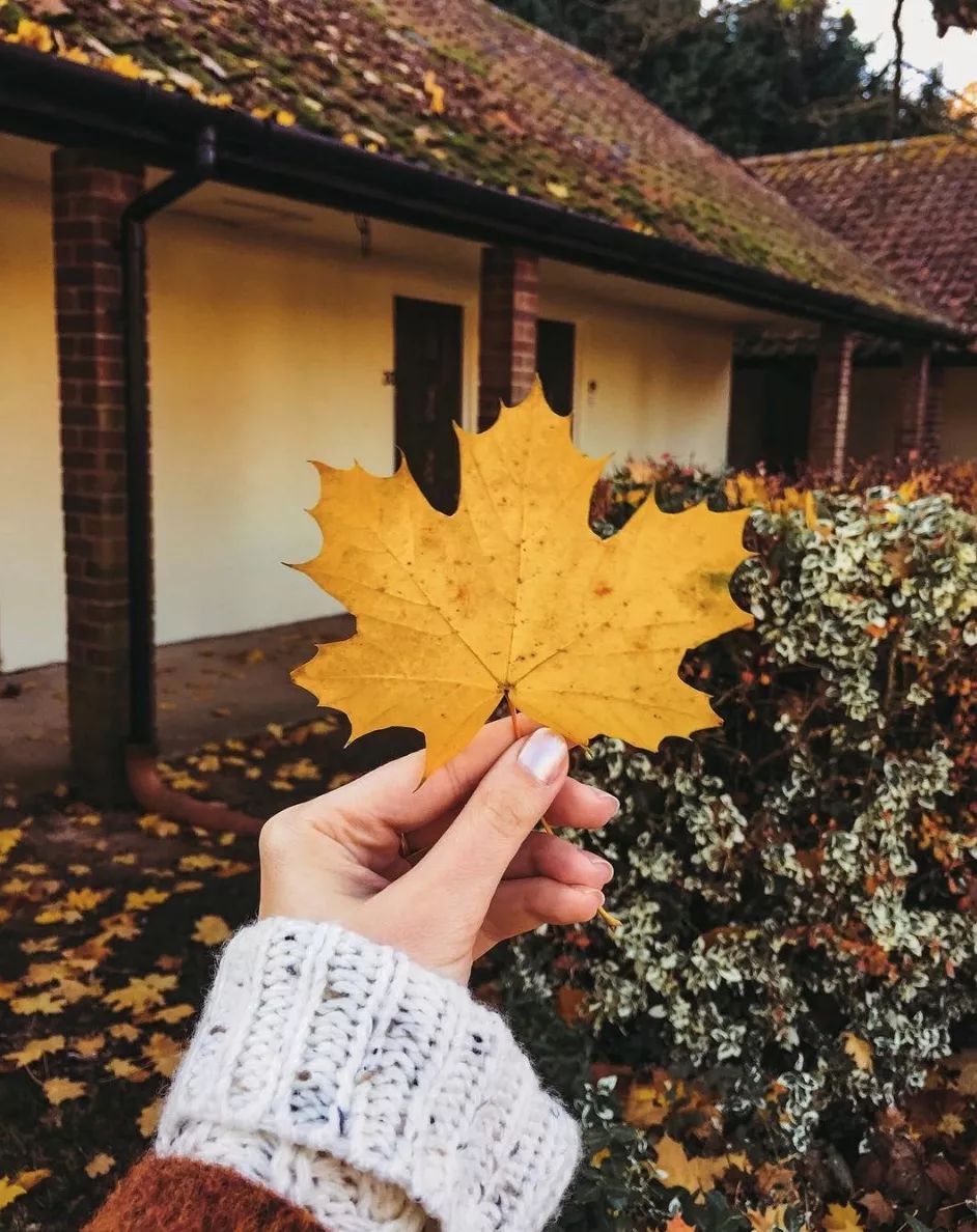 互不打扰,余生刚好。