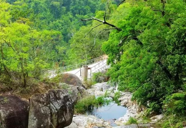 海南热带野生动植物园——梦幻香山芳香文化园——海南百花岭热带