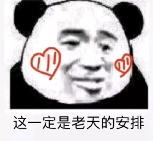 5cded6fa03164af0a5d16e23d6575798.jpeg
