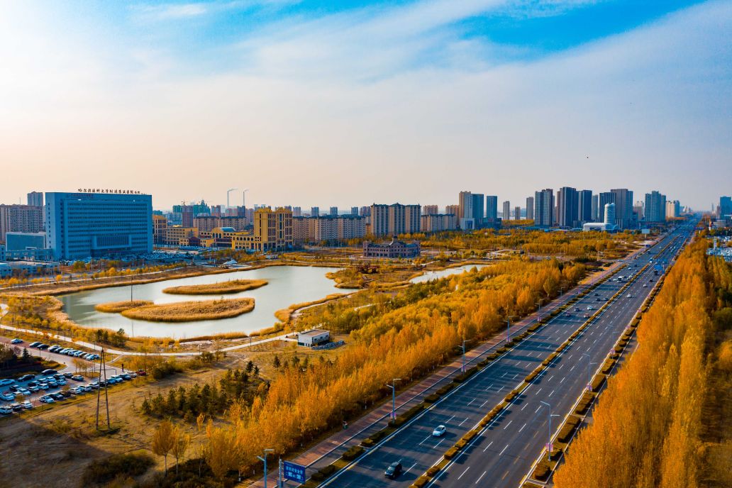 大庆的秋,是仲夏夜延续的梦_城市