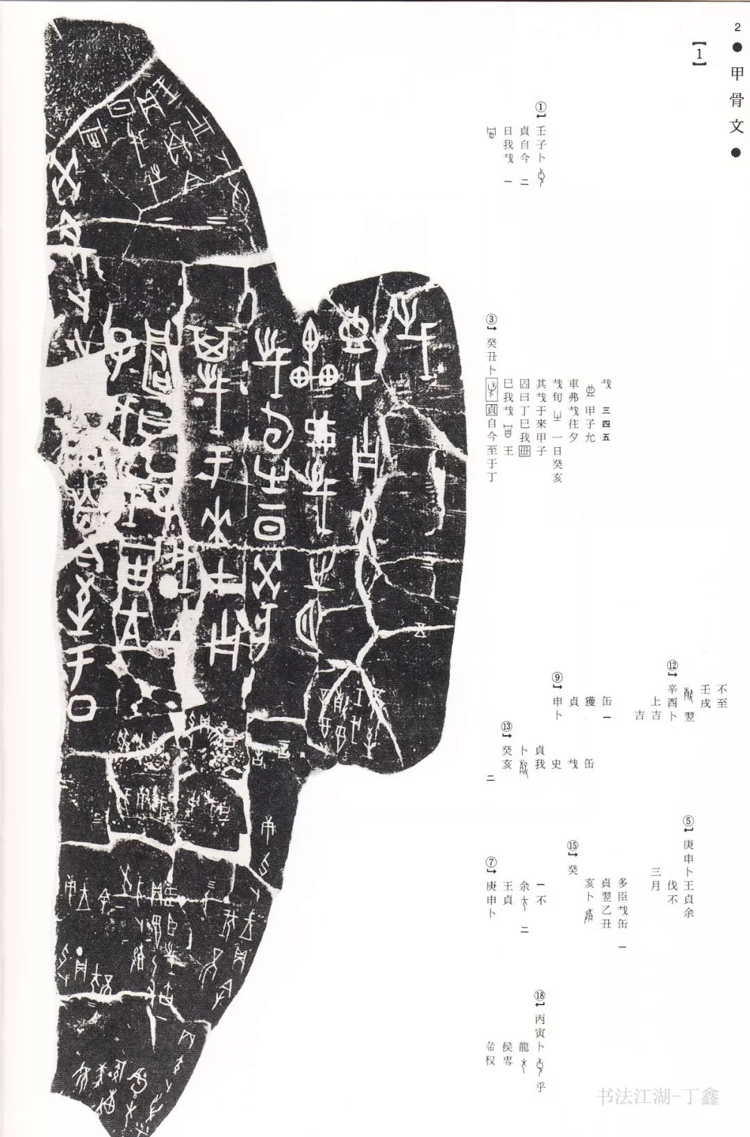 668decfbb20142df8a3ed40d26d5581a.jpeg