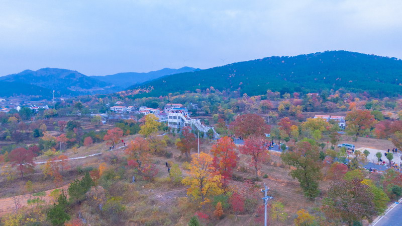 这些天红叶正红,整个景区吸引周边省市的无数游客,我