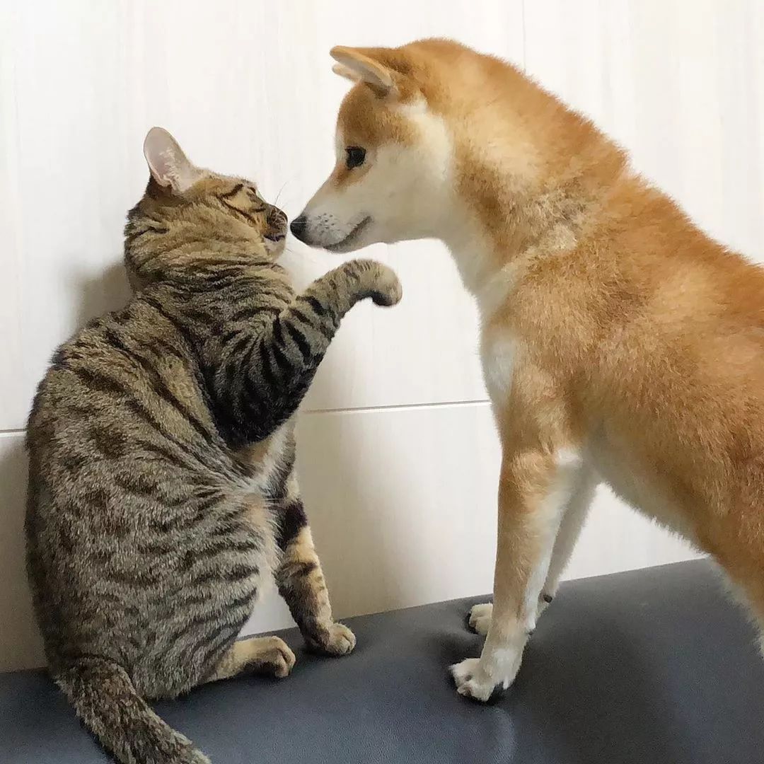 754d3d5a3df34ec69e5d7b2144cbb9aa.jpeg
