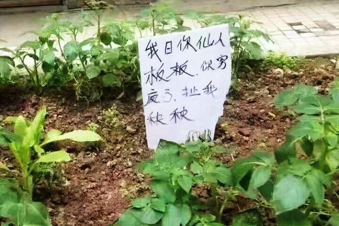 文章配图