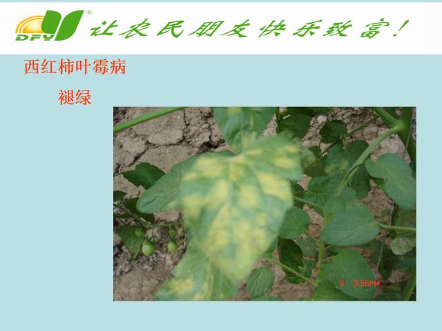 如何识别植物种类 85aa887f88944d9886822330058e6c23.jpeg