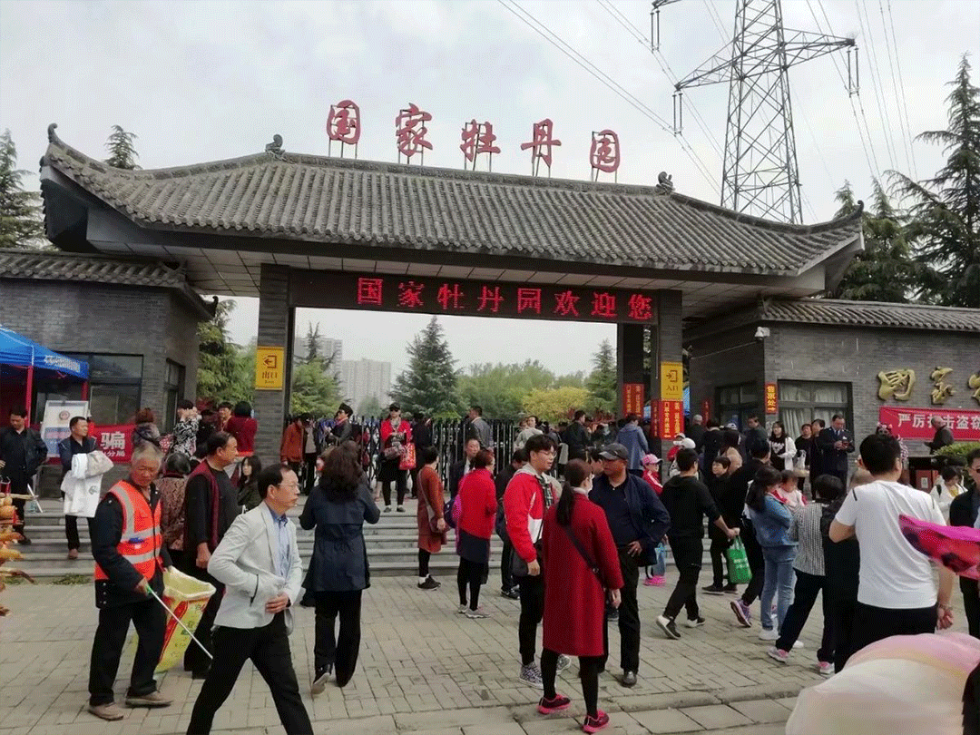 中国旅游景区大全之洛阳国家牡丹园