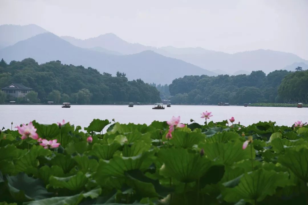 滚滚长江东逝水、一将功成万骨枯：脱口而出的名句都是谁写的？