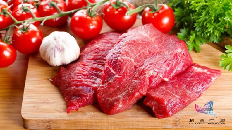99752cc64b494b73847acb56fe2e5fed.jpeg