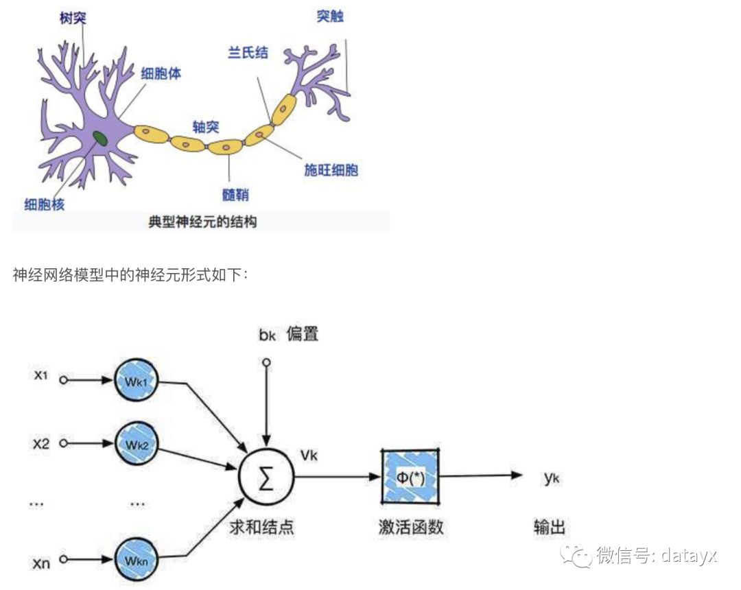 逻辑斯蒂人口_逻辑斯蒂曲线