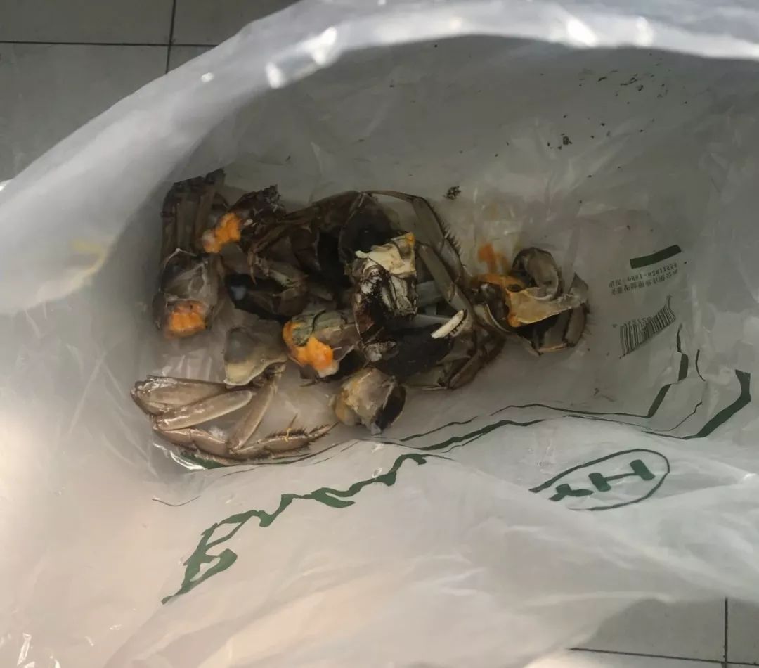 万达超市买的大湖蟹全都扔进了垃圾桶,因为蟹黄像鼻涕._螃蟹