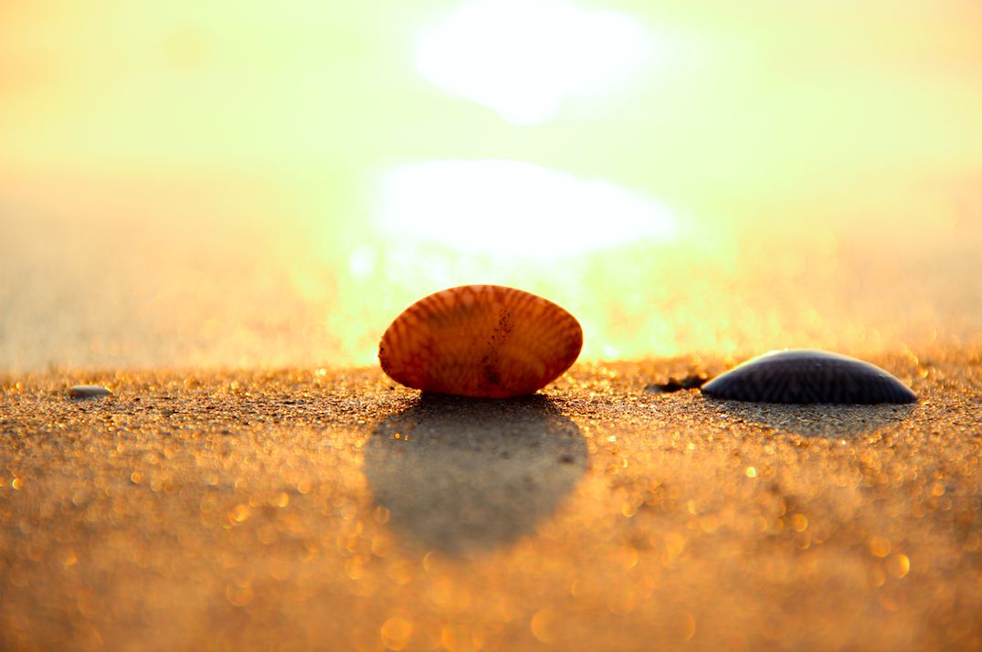 如何让自己不在乎一切 db25b8fb029d4bf59b7b86e83c6c6c8d.jpeg