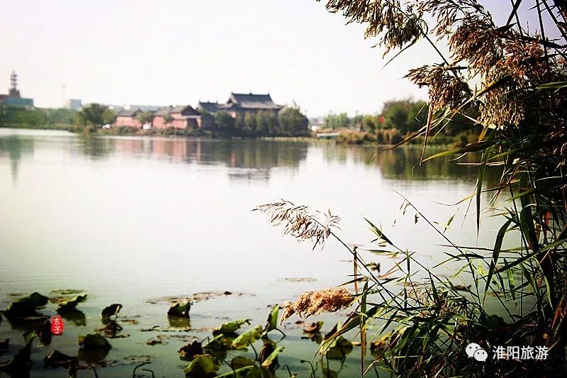 抓住秋天尾巴,赏淮阳五彩斑斓风景_龙湖