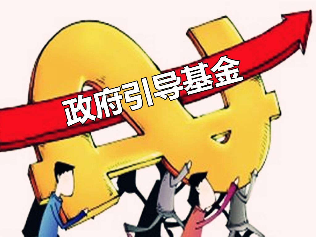 学术专栏闻林政府引导基金发展的问题及应对