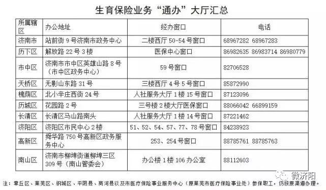 济南市人口查询系统_济南市监控系统示意图(3)