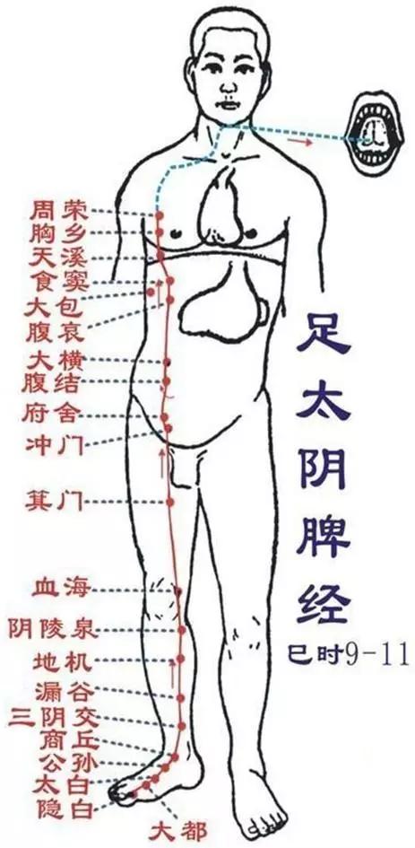 第四条:脾经2, 渊穴:质量乳腺增生,肋间神经痛,腋窝出汗.