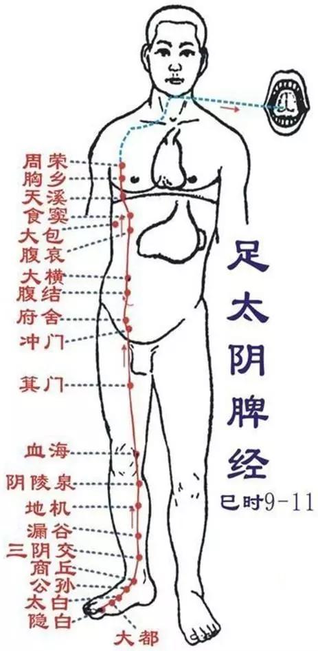 人体十四条经络一通百通一堵百堵