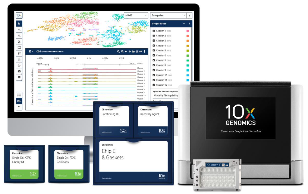全方位解读,10x gemomics单细胞atac-seq技术