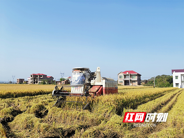 衡东县霞流镇人口数量_衡东县草市镇毛坪小学