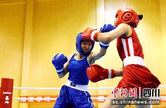 自贡女教练带队参加四川拳击锦标赛收获2金2银1铜