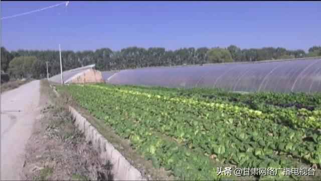 临夏县土桥镇总人口_临夏县土桥镇张秉慧(3)