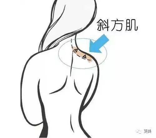 386c4541c2de470893fe0a3fef5fdbdb.jpeg